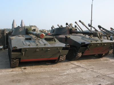 Nasze piękne goździki
